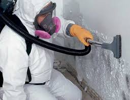 Biohazard Mold Removal in Altamont, NY